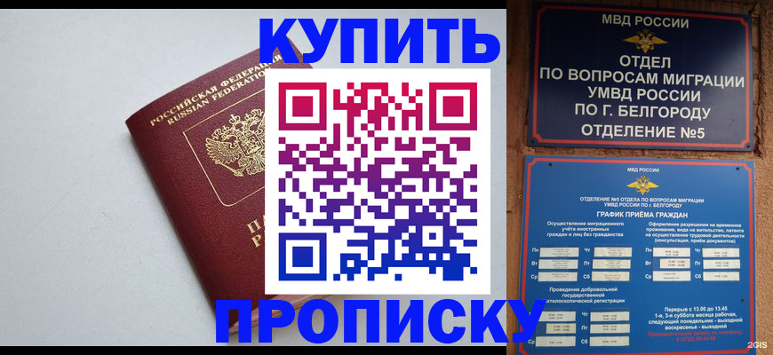 прописка регистрация в Петропавловске-Камчатском